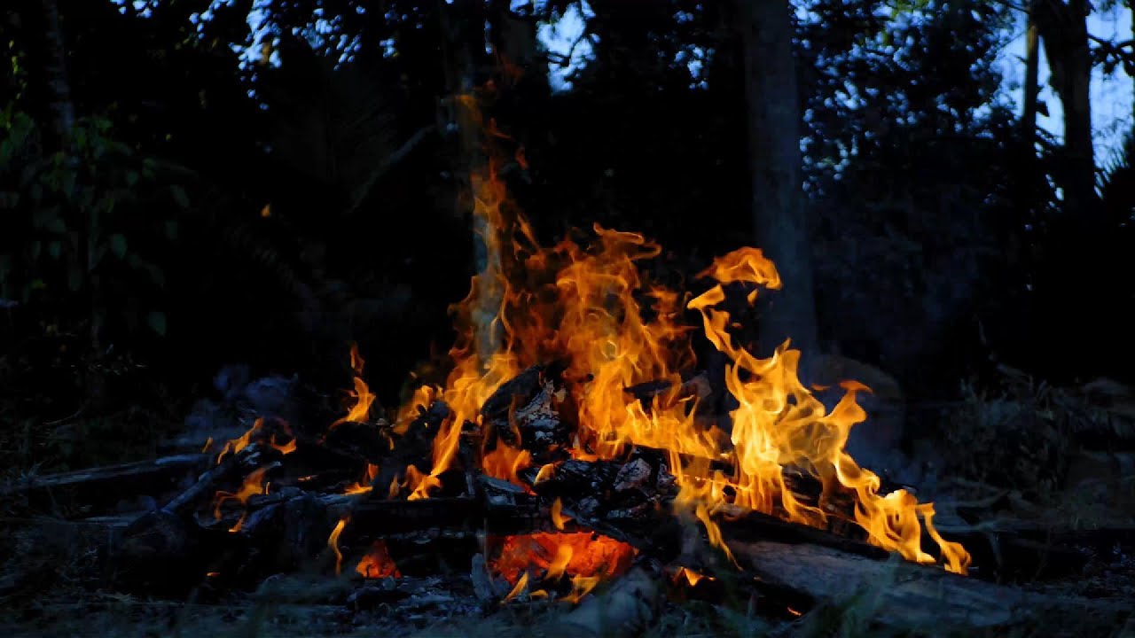 Crackling Campfire Sounds | 11 Hours Strong Fire Burning, Pops & Snaps for Deep Sleep & Relaxation