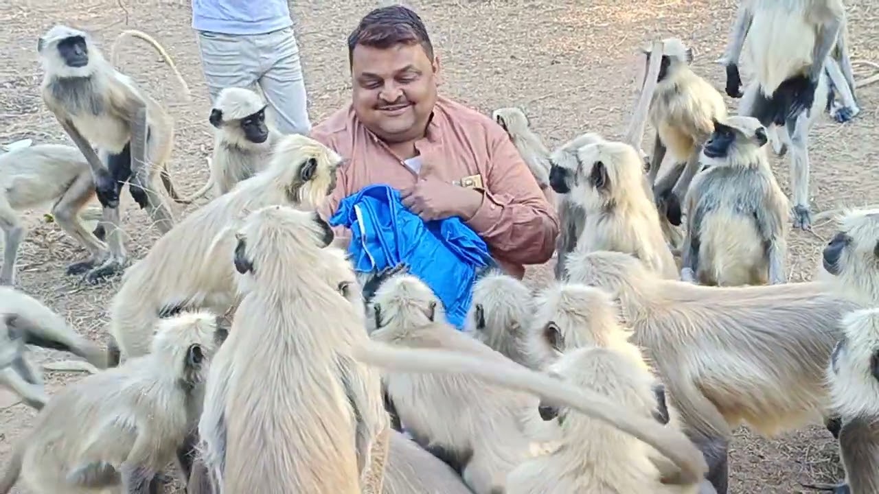 ये वीडियो देखने जैसा है 🙏 जय सियाराम 🙏