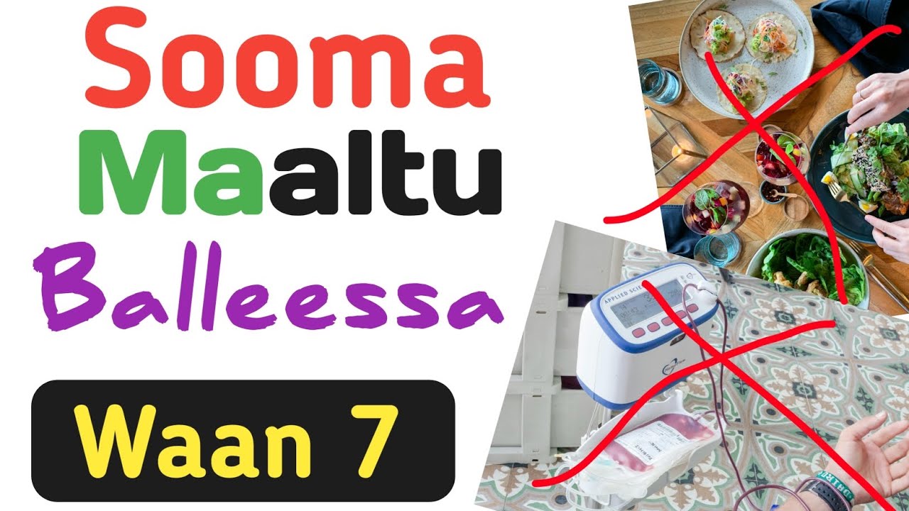 Sooma Maaltu Balleessa? | Waan 7 Sooma Balleessan | Barnoota Soomaa