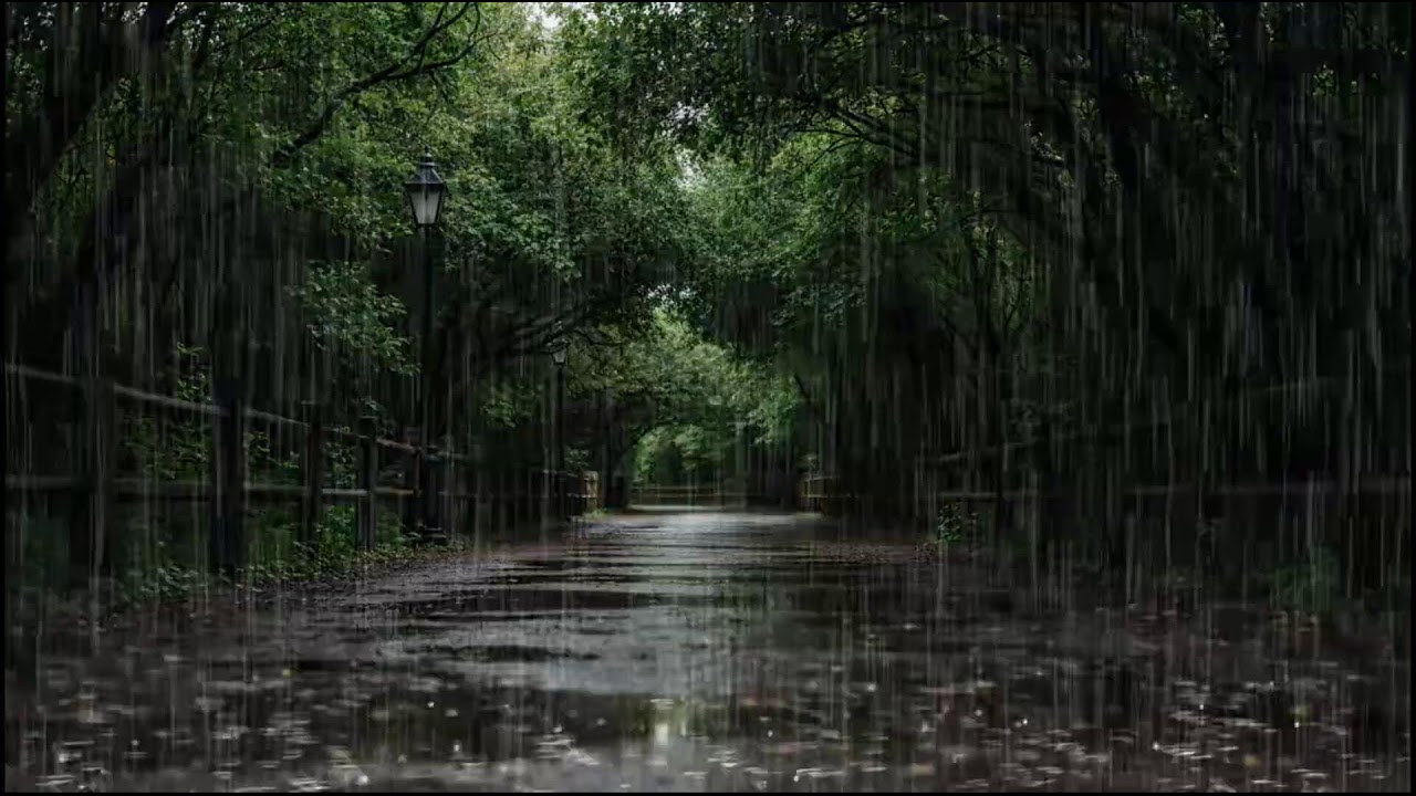 Relaxing Forest Rain at Dusk | Ambient Leaf and Rain Sounds to Help You Sleep Better Naturally