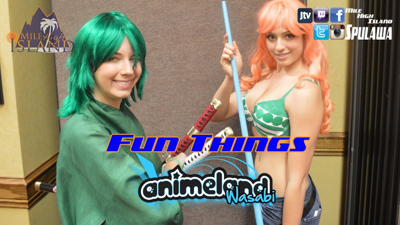 Fun Things: Animeland Wasabi 2014 (Saturday) Costume Contest