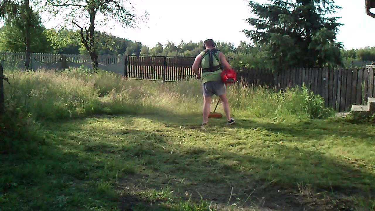 Oleo Mac BC 420 T - older brother of Oleo Mac BC 430 T // 14 June