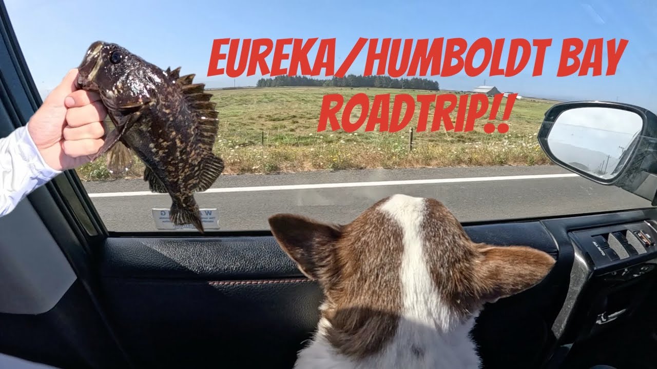  Fishing & Off-Roading Roadtrip - Eureka/Humboldt Bay