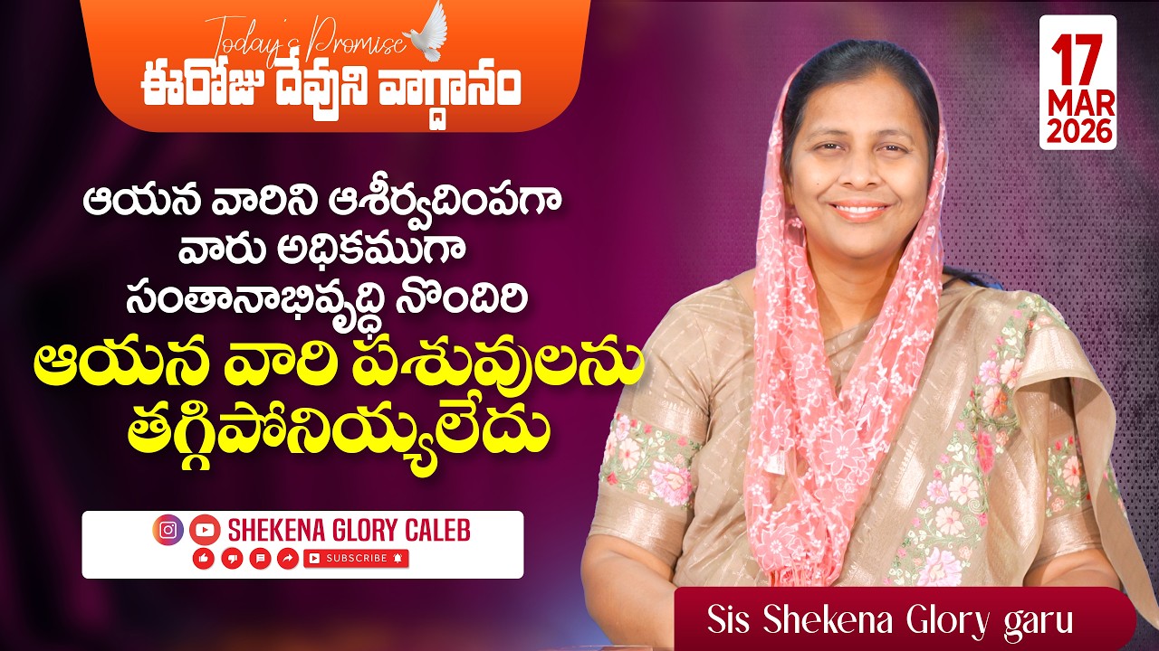 Today's Promise and Prayer | Shekena Glory Short Message | God Greatest Miracles | Shekena Glory
