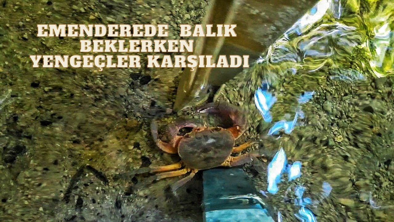 Emendere de güzel bir gün
