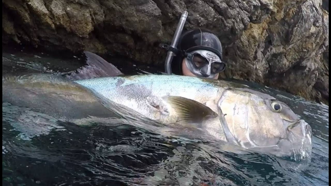 Spearfishing Montenegro 2025
