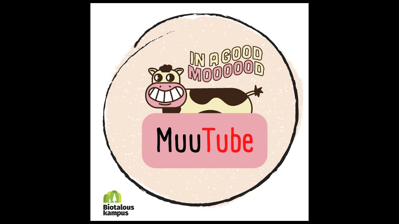 MuuTube: Kesäkuu 2024 Bootcamp Special