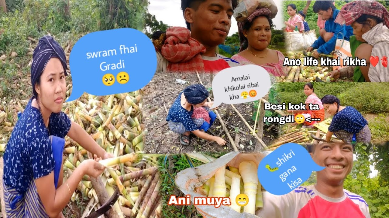Tini khai bisramgoj ni bai borok bai moya fhai nani fhai mi bolongo //first time wathwi moya fhaimo😆