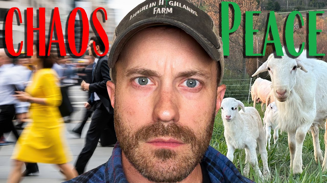 Why We Left the City to Start a Farm Life