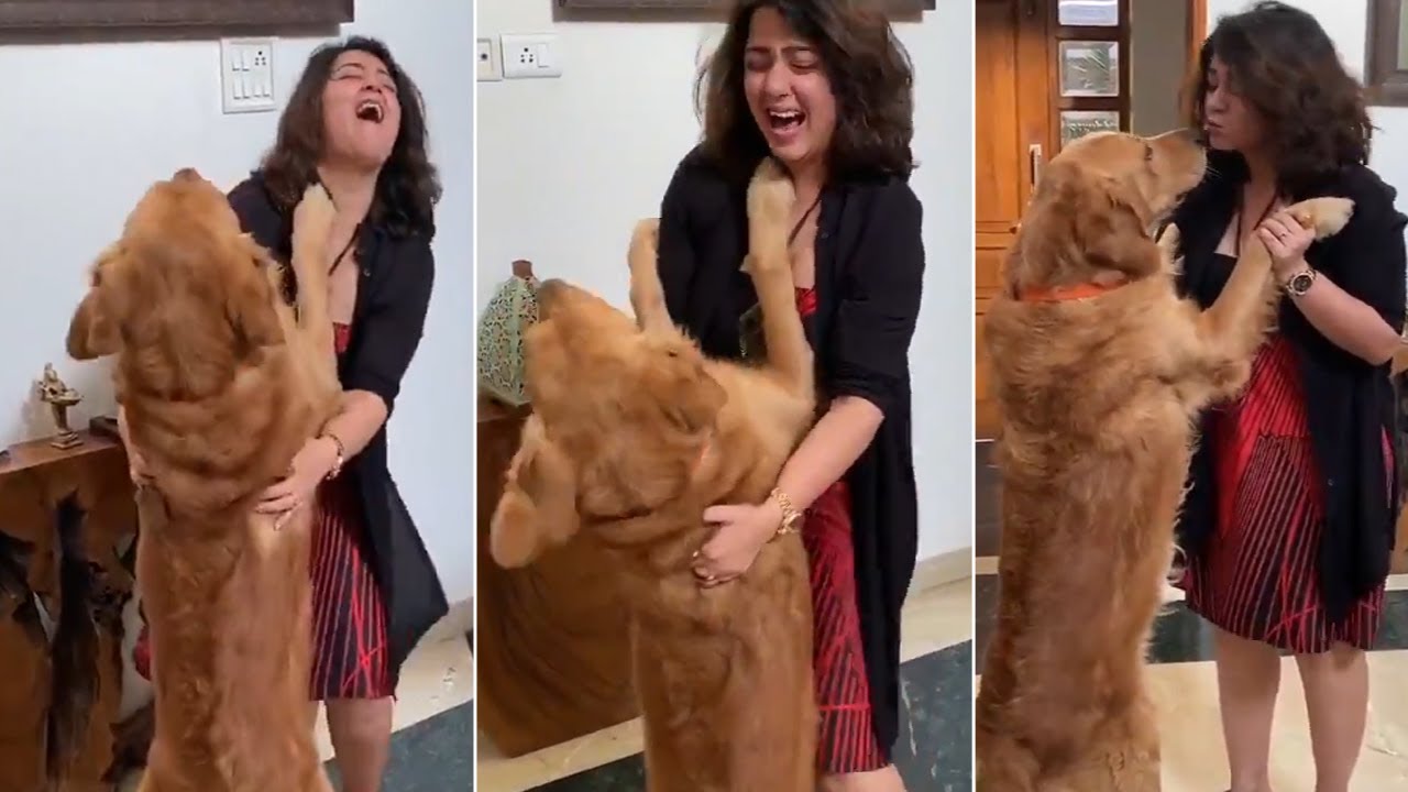 Actress Charmi Kaur Playing With Dog | Stay at Home | Manastars