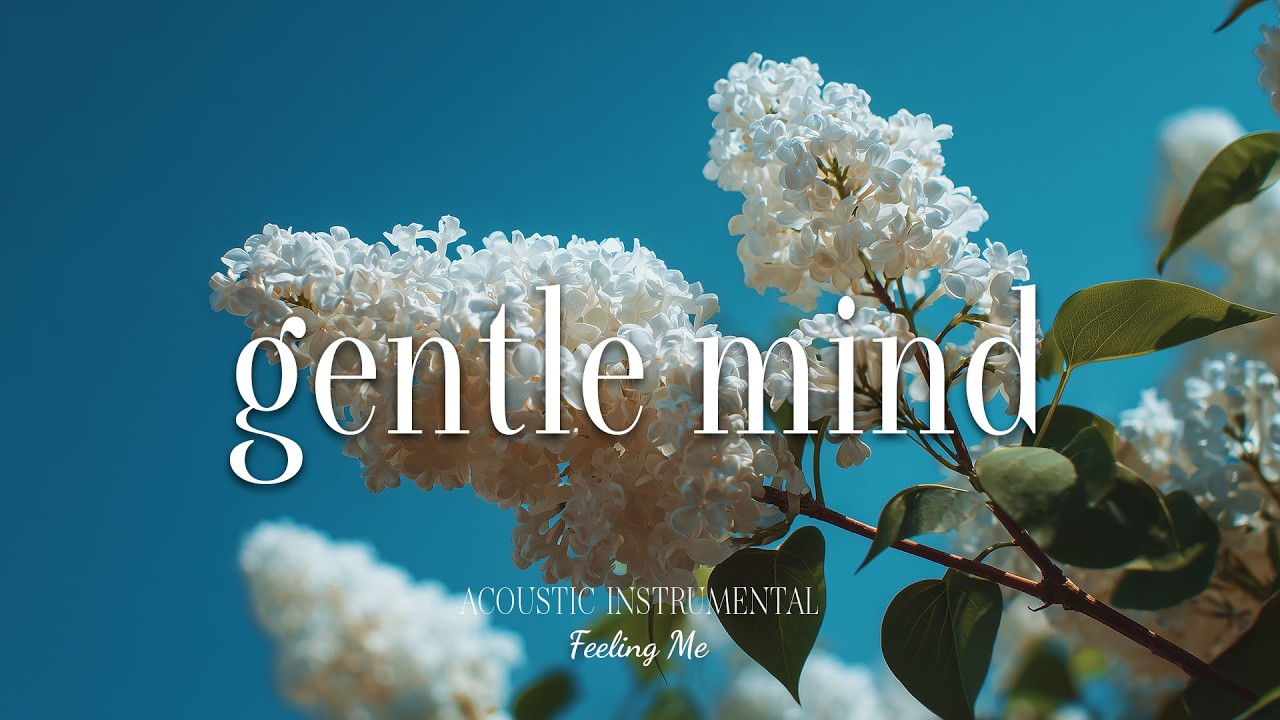 Gentle Mind 🌼 Relaxing Guitar for Focus, Study and Mental Calm | FEELING ME