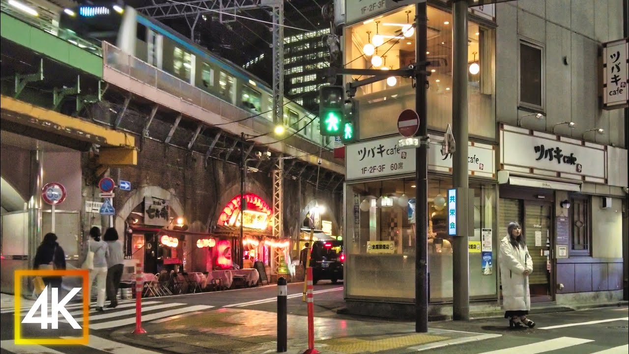 Tokyo after dark through the streets of Shimbashi