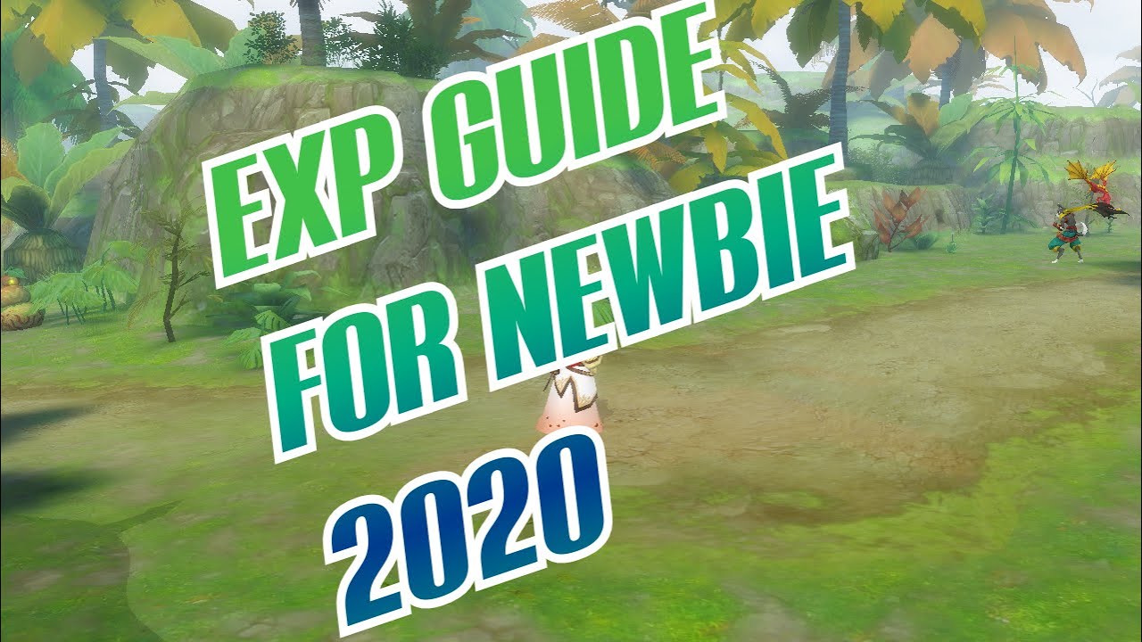 Alchemia Story EXP Guide for Newbie 2020