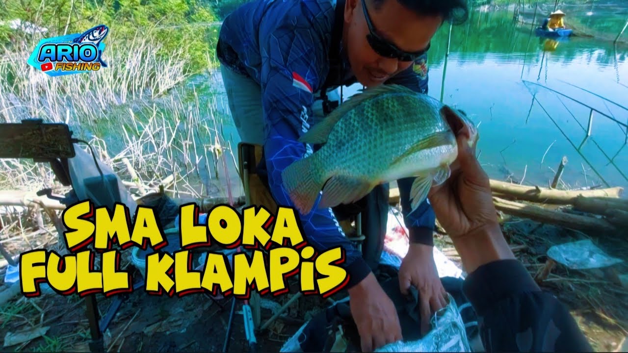 Liaran SMALOKA Sumberpucung‼️ Waduk Lahor Malang Jawa Timur Indonesia