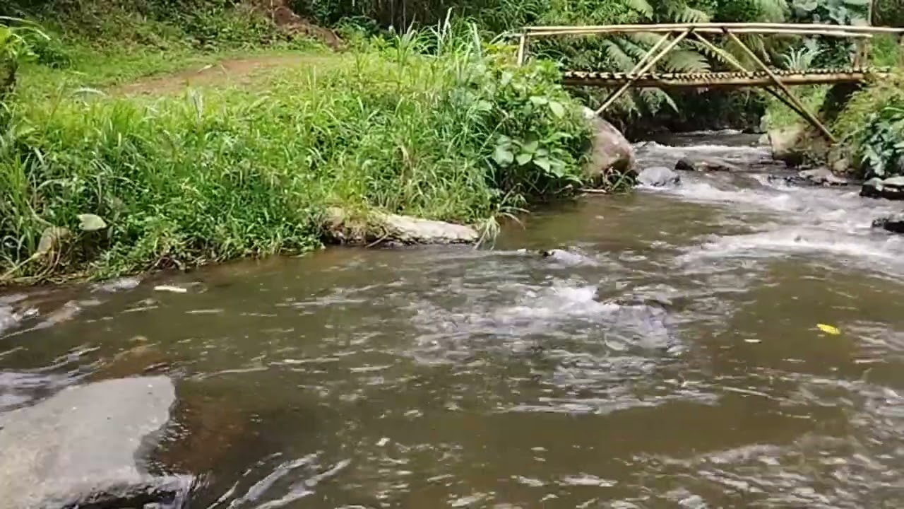 1 Hour Forest River Water Sounds - Relaxing Mountain Stream Waterfall Sound - Sleeping & Meditation