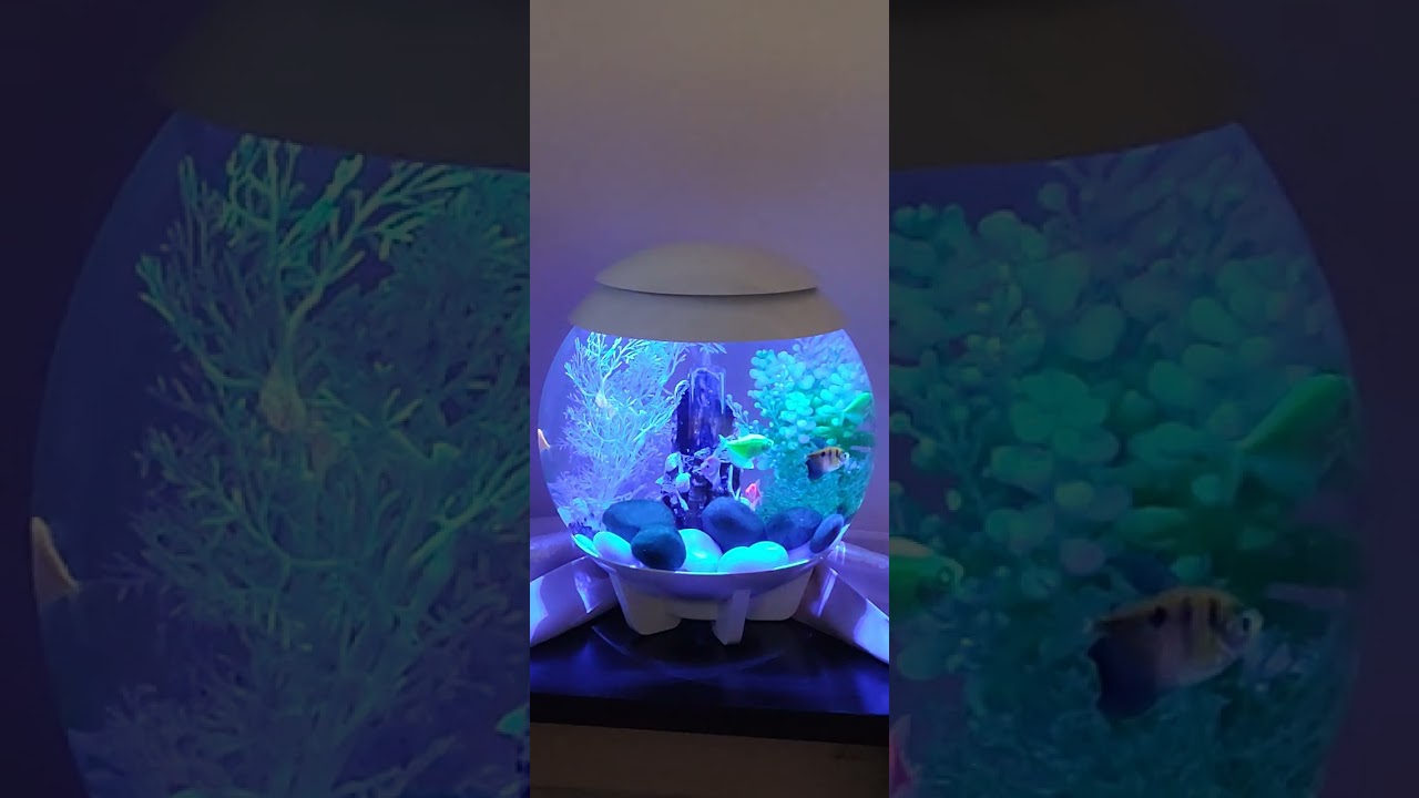&epsilon;&nu;&upsilon;&delta;&rho;&epsilon;ί&omicron;Oase biorb MCR led