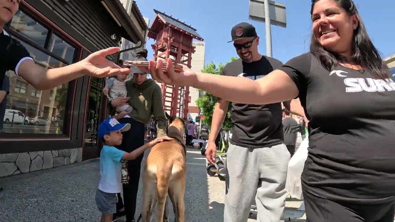 Cash 2.0 Great Dane in Little Tokyo downtown Los Angeles 5