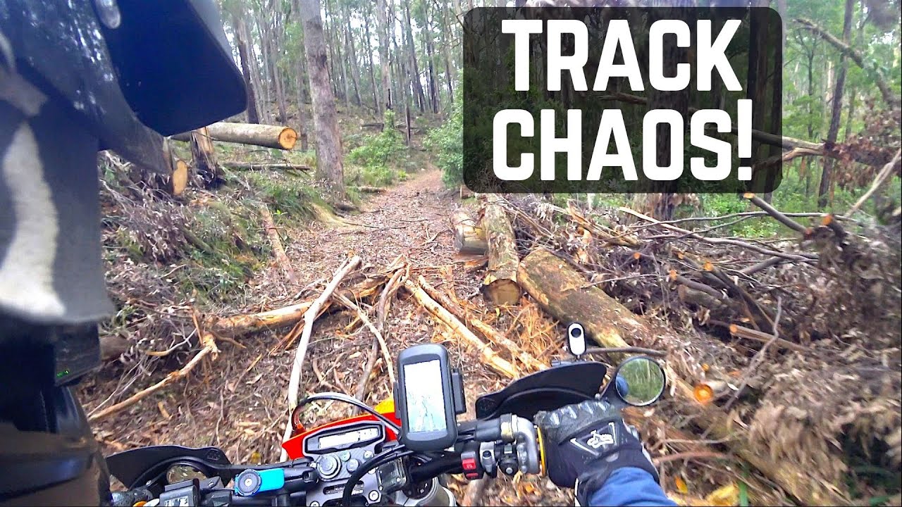 Wombat state forest - absolute carnage!