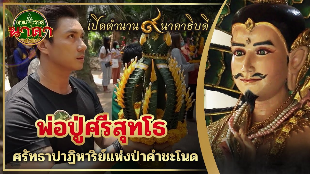 ตามรอยนาคา(ນາກ) Ep.1 พญาศรีสุทโธนาคราช ณ ป่า #คำชะโนด ดินแดนแห่งพรหมประกายโลก