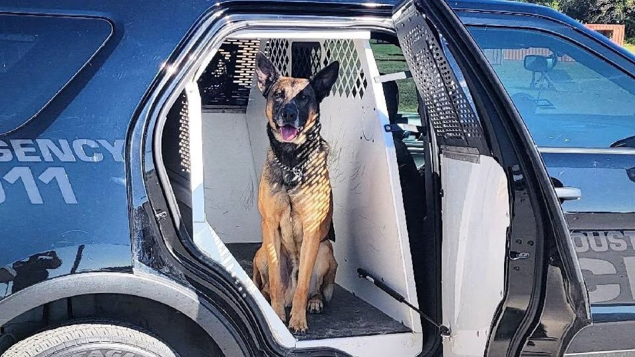Houston Police K9 on the road to recovery