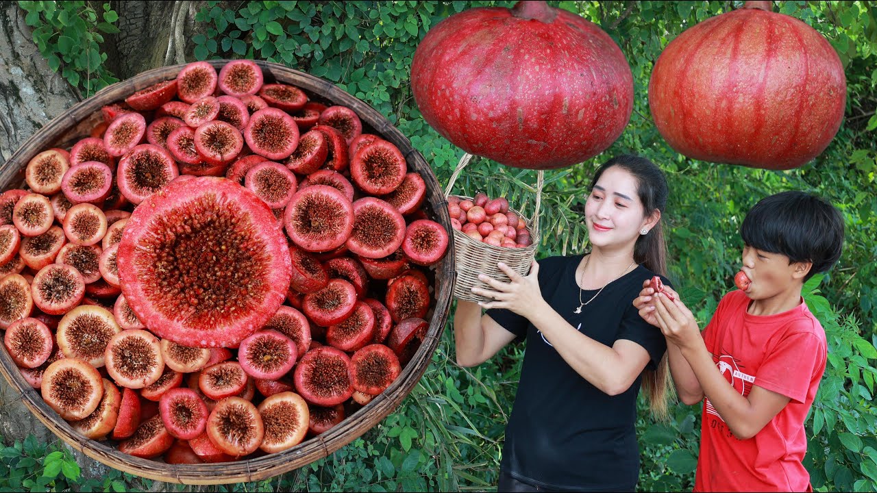 How to eat figs in my homeland | Fresh figs harvest for recipe | Figs fruit eating