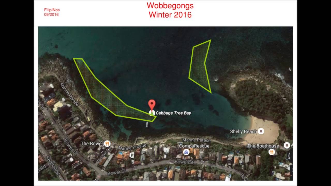 DOWN UNDER - THE WATER. CABBAGE TREE BAY SNORKEL MAP
