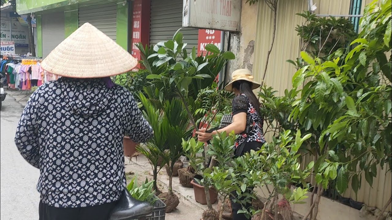 CHỢ QUÊ THÁI BÌNH Chợ Cầu Quỳnh Ngọc Quỳnh Phụ Thái Bình
