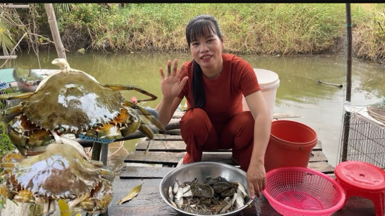T530| Đả lâu rồi thăm lú chúng được như như vậy cuộc sống mưu sinh (CHCM)