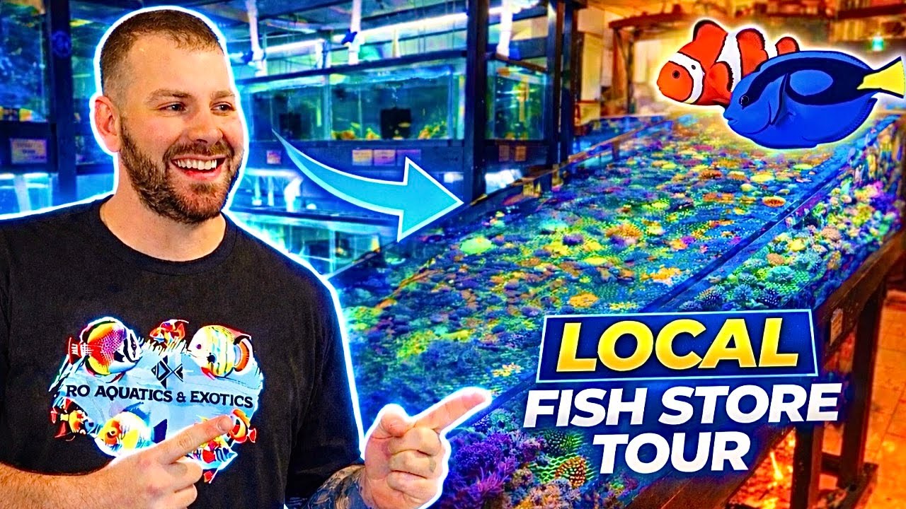 We're Touring Fish Stores Across the US - This Is Stop #1