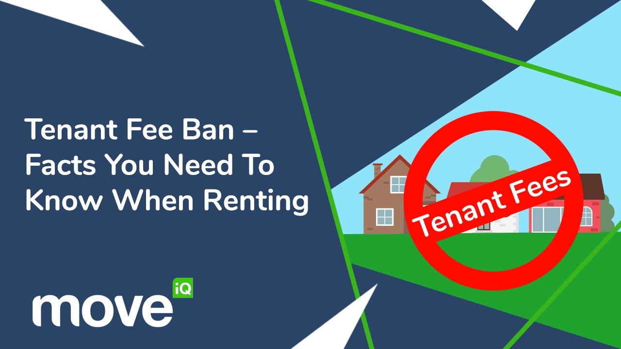 Tenant Fees Ban | Facts You Need To Know When Renting