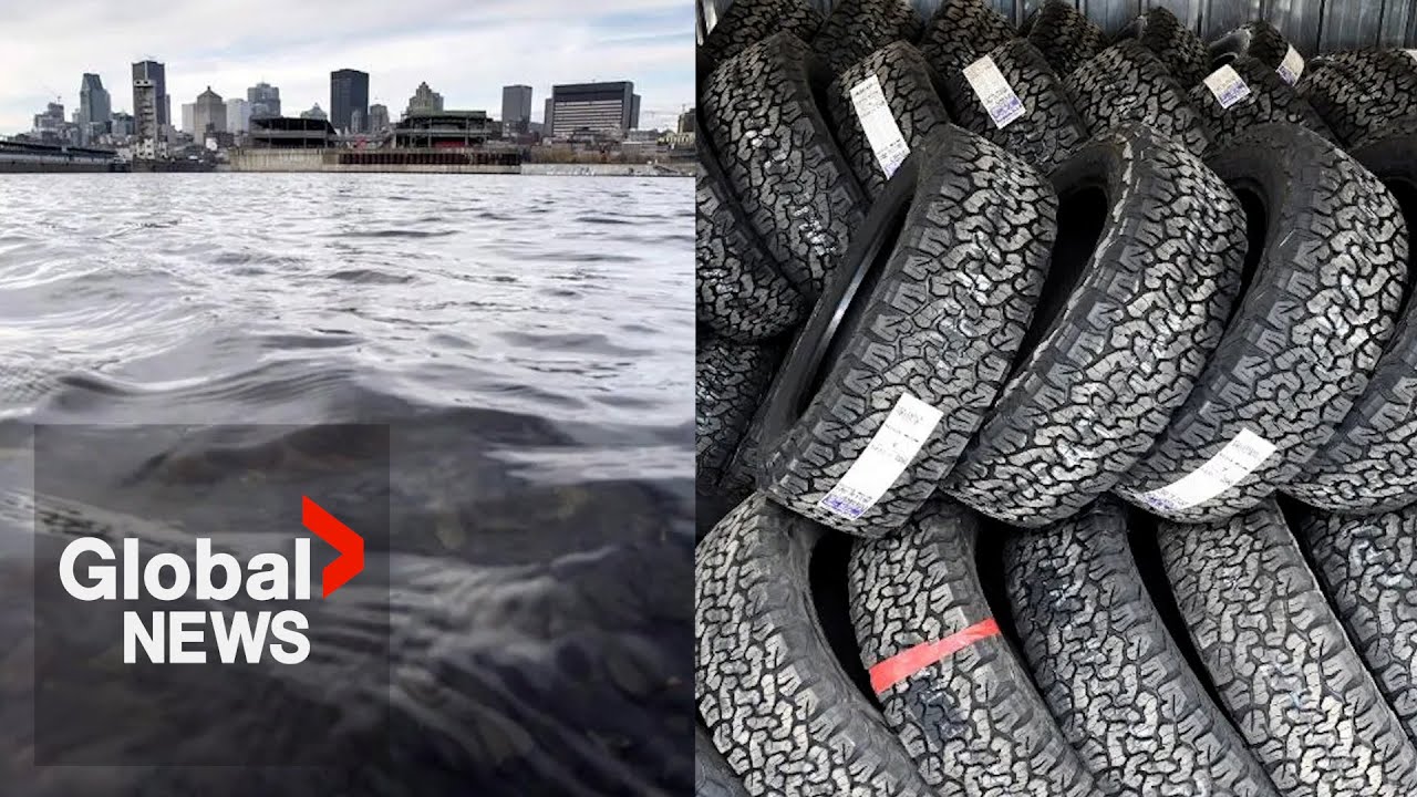 Divers remove hundreds of tires from St. Lawrence River near Montreal
