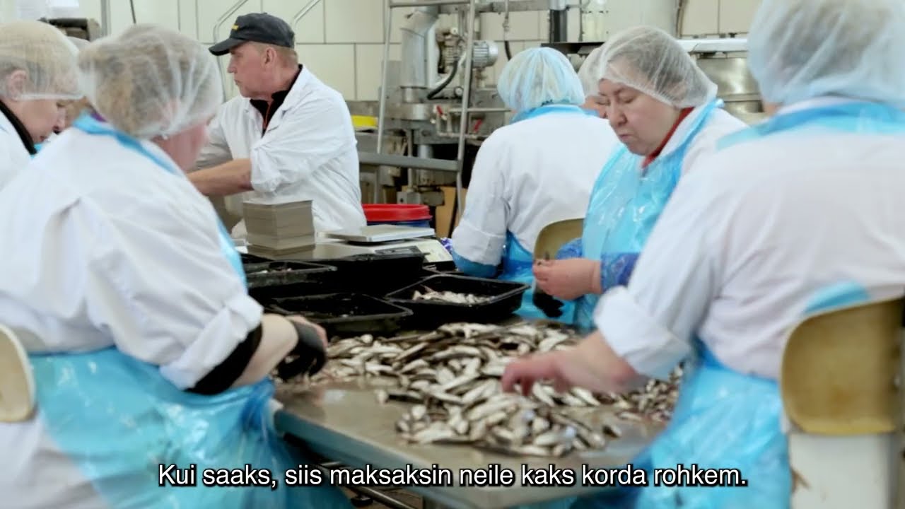 Праздничная гонка: через ловкие руки работниц почти каждый день проходят тысячи килек