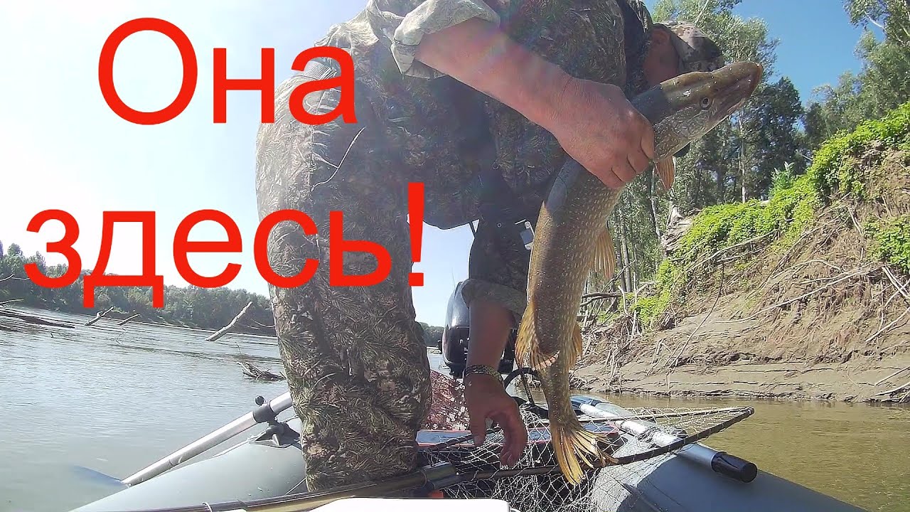 Засадная щука в коряжнике! Рыбалка на Оби.