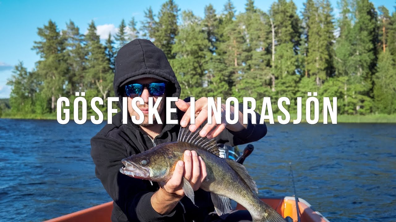 Fiske 2018 del 2: Gösfiske i Norasjön | Sony a6500 | DJI Mavic Air | Zhiyun Crane Plus | 4K