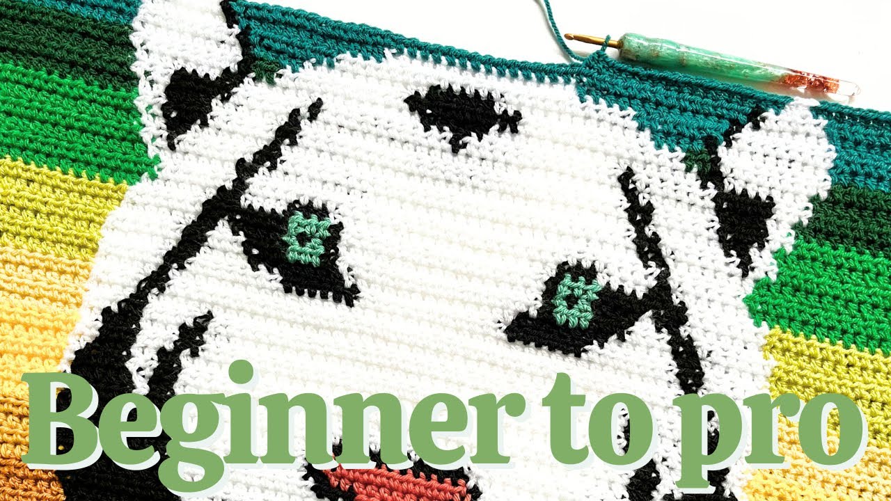 5 Things I Wish I Knew Earlier About Graphgans