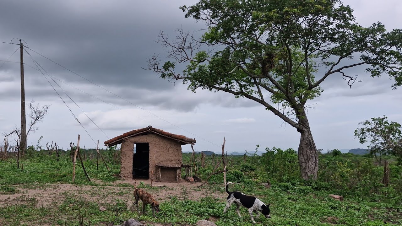 A chuva se aproxima da roça no SERTÃO nordestino