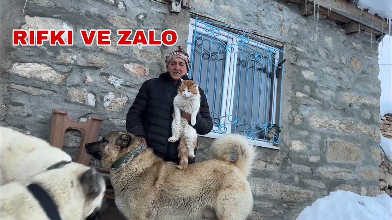 İKİ FENOMEN BİR ARADA ! ZALO BUGÜN HEPSİNİ PİÇAKLADI 