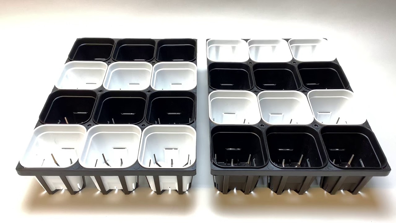 9cmポットや2.5～3号鉢用四角型枠(プレステラ90対応)トレイ：ハーフ-12鉢用＠フラワーショップ江口多肉植物・塊根植物コーデックス・アガベ・サボテン・観葉・ハオルチア・アデニウム・パキポディウム