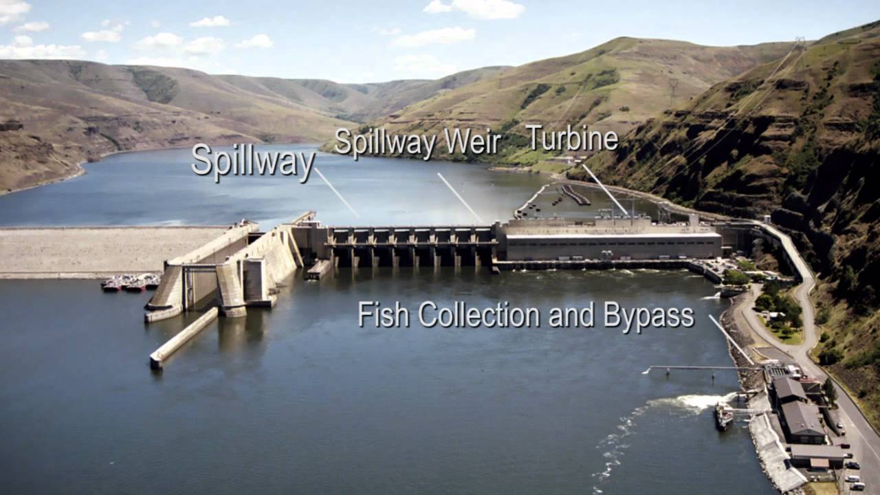 Columbia Snake River Fish Passage