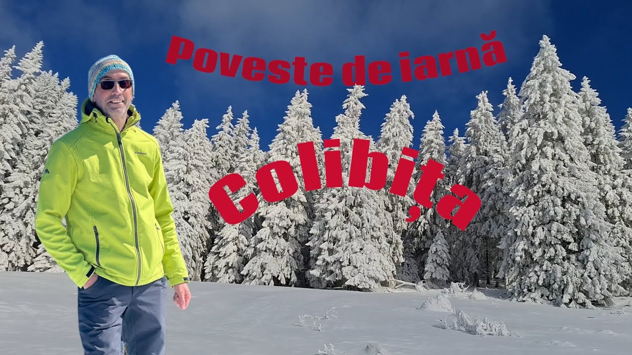 Poveste de iarnă la Colibița #munțiibargaului  #șauatomnatec #poianaandreichii #munte #snow #winter