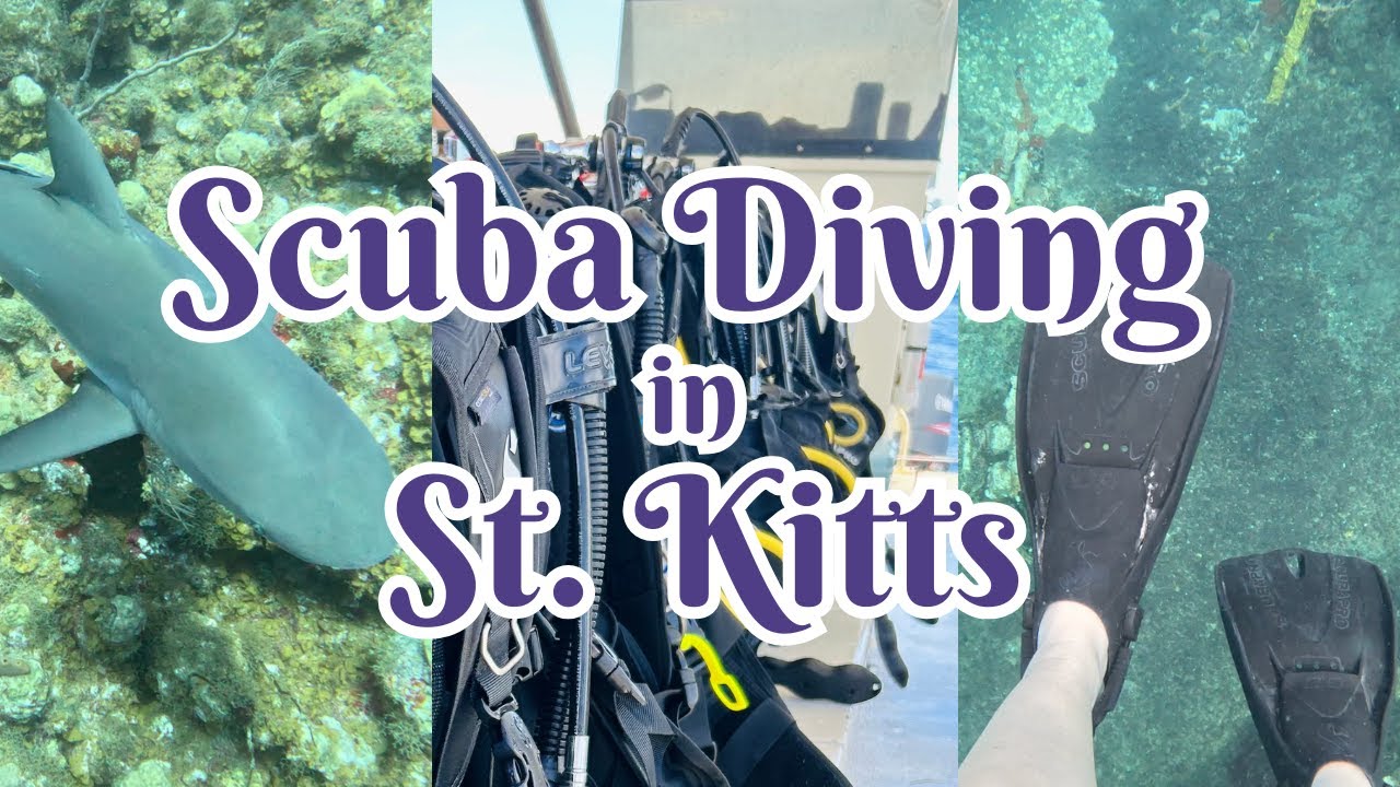 Scuba Diving in St. Kitts | Pro Divers St. Kitts