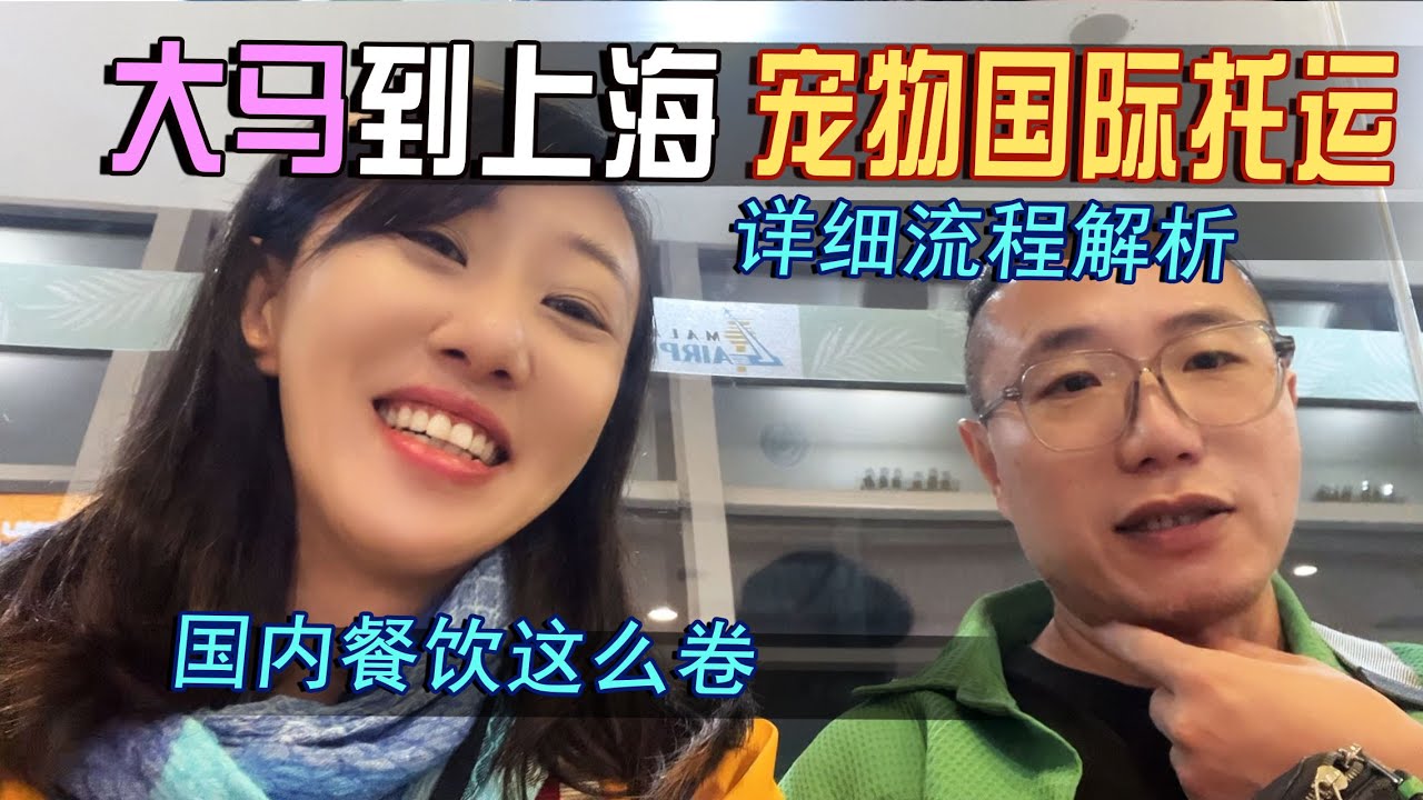 2025🇲🇾槟城—上海|宠物国际托运详细流程！体验最新上海网红餐厅