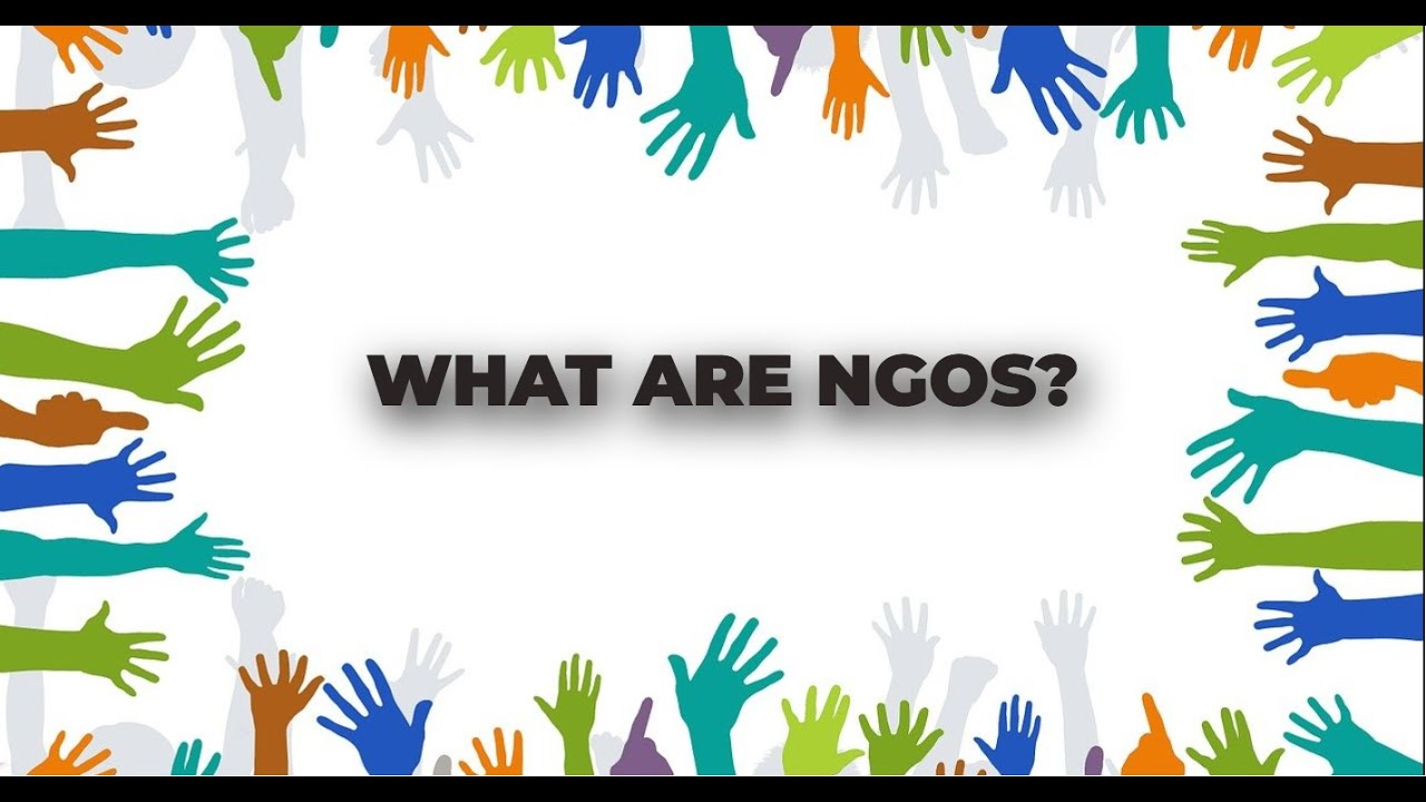 What are NGOs? Their Purpose and Role Explained.