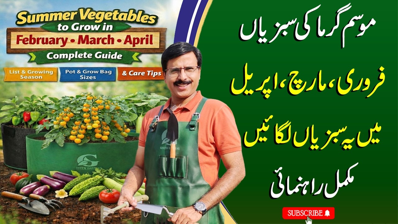 Summer Vegetables to grow in February , March, April. Complete Guide | Javed Iqbal