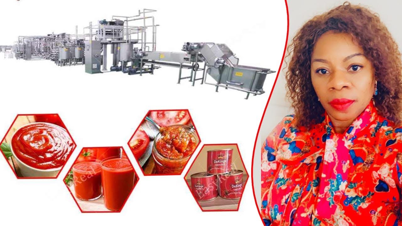 Usine de Transformation de tomate en ketchup
