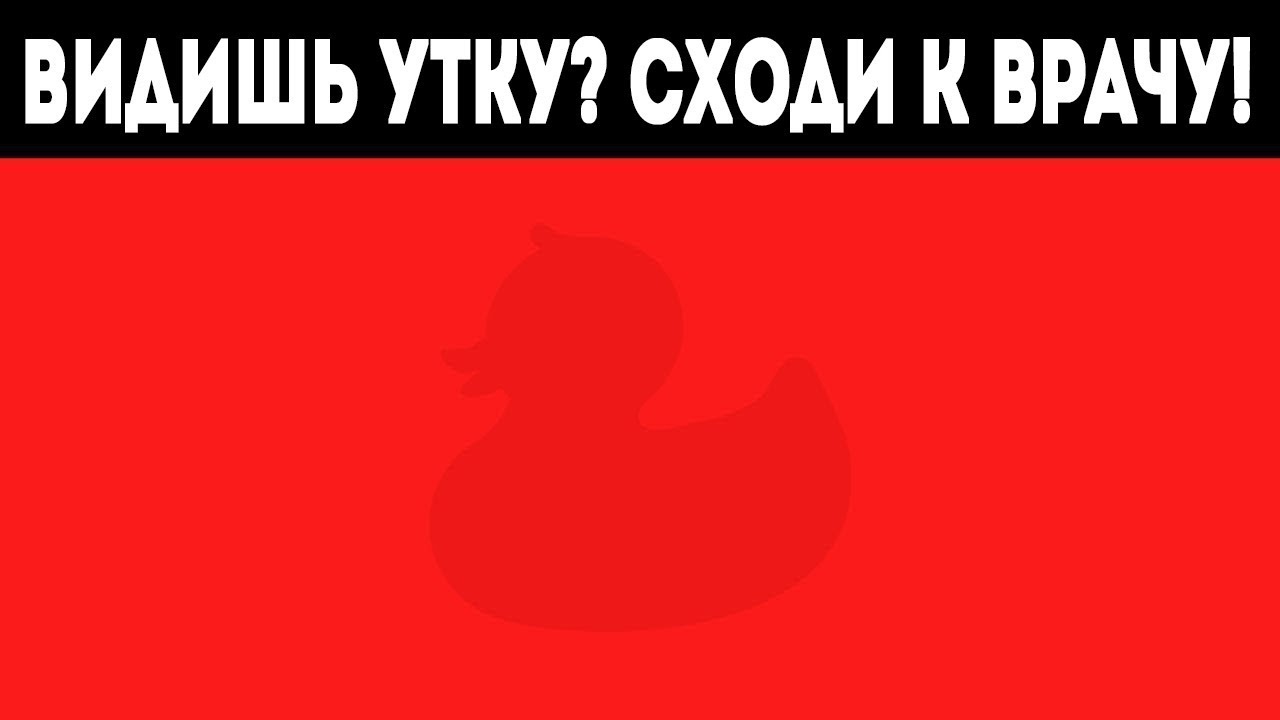 8 ФОТО, КОТОРЫЕ РАССКАЖУТ ВАМ, КТО ВЫ ЕСТЬ