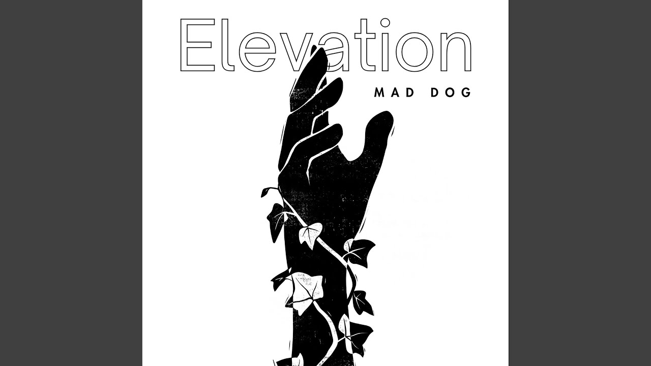 Elevation