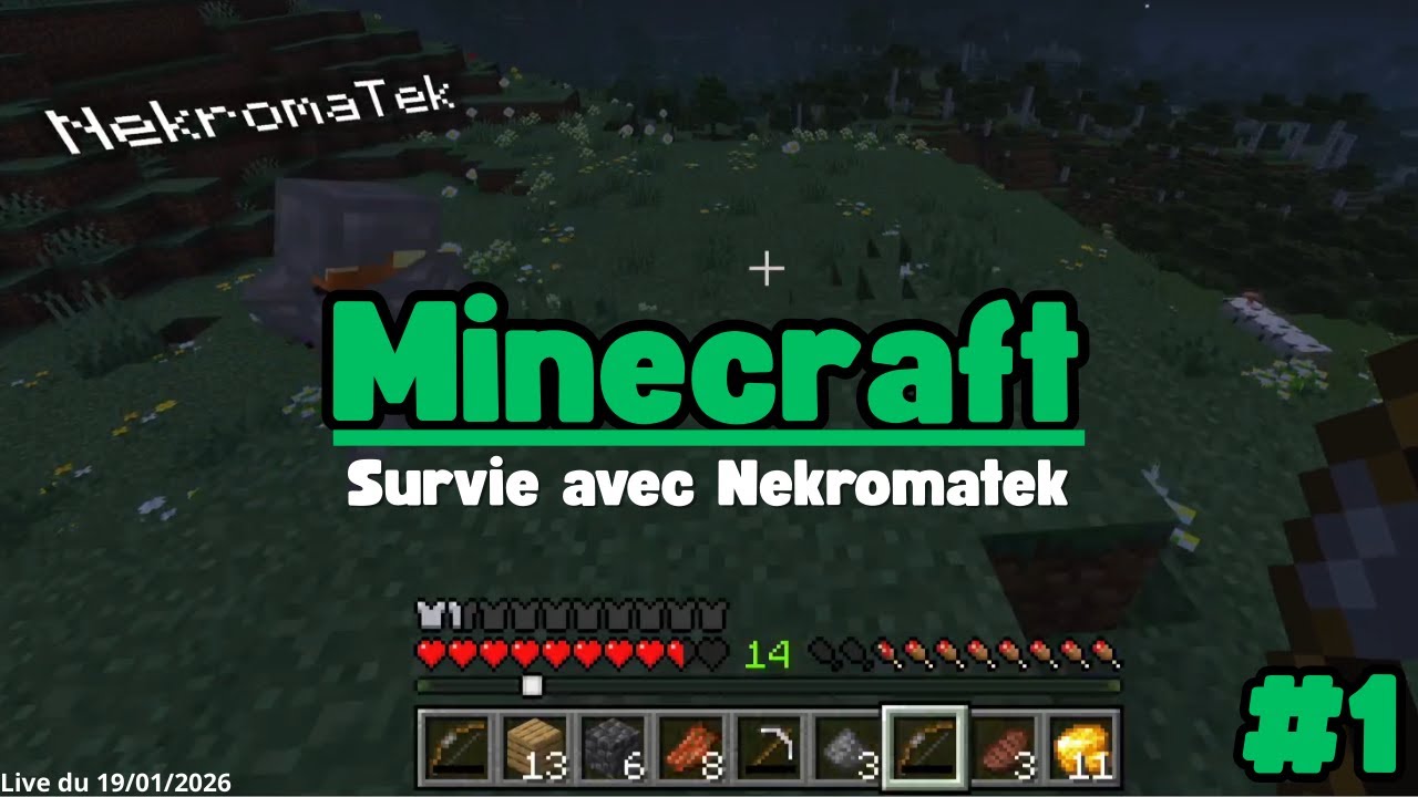 Minecraft | Survie avec @Nekromatek #1