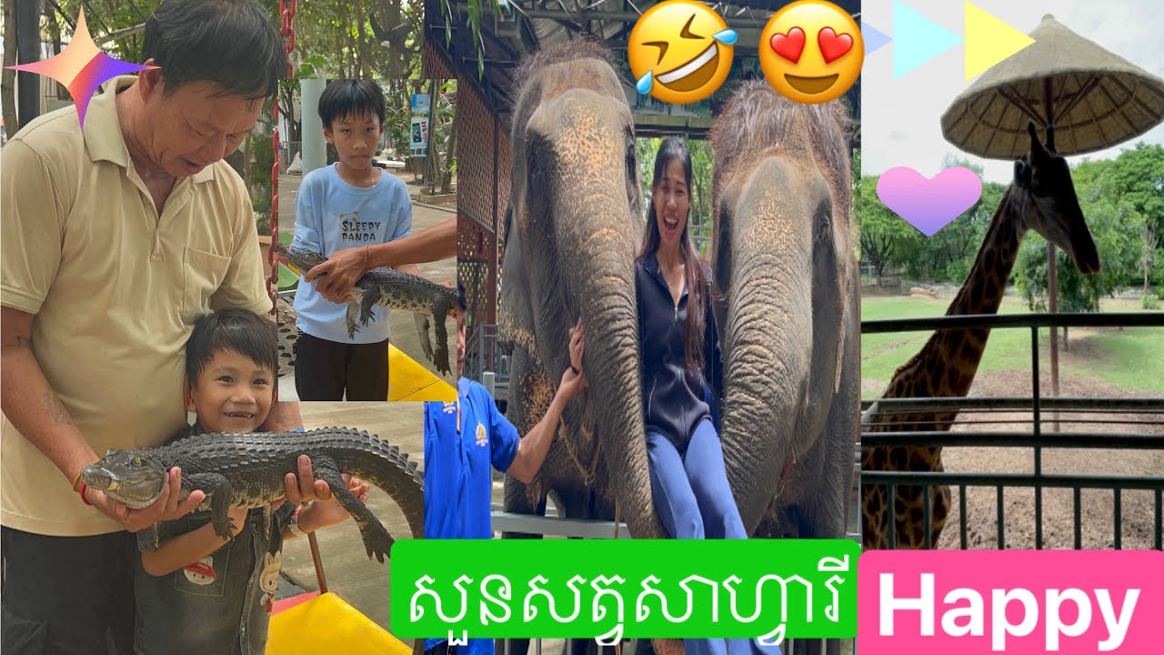 ដើរលេងនៅសួនសត្វ ភ្នំពេញសាហ្វារី 