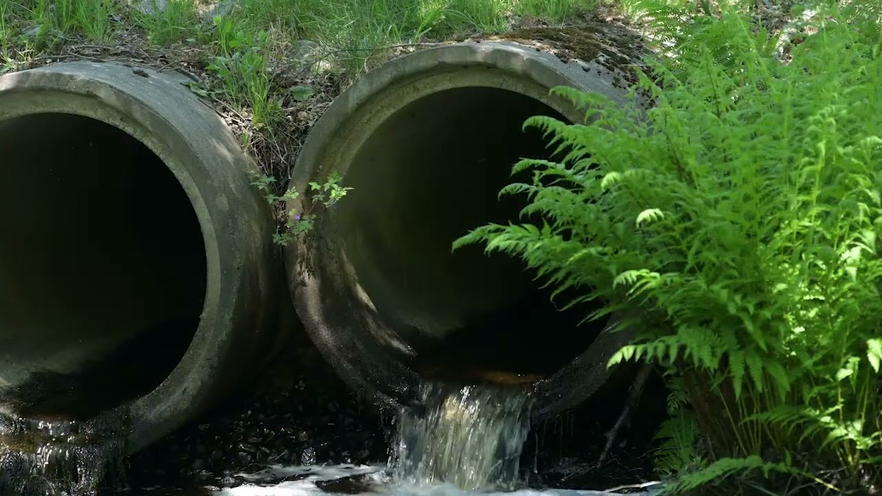 Alla bäckar små. Avsnitt 3, maj 2022. Fiskevård och biotopvård i Döderhultsbäcken, Oskarshamn.